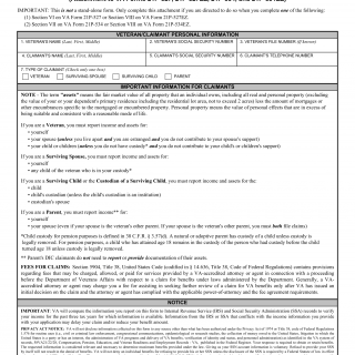 VA Form 21P-0969. Income and Asset Statement in Support of Claim for Pension or Parents' Dependency and Indemnity Compensation (DIC)