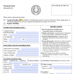 Texas Secretary of State (SOS)  Payment Form (807)
