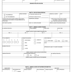 Form AETC 77 - Airman Leader Application/Certification