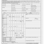 AF Form 1181 - Air Force Youth Flight Program Patron Registration
