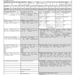 AF Form 3899L - Patient Movement Record En Route Critical Care