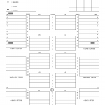 AF Form 3905 - C-130 Patient Positioning Plan (LRA)