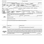 CT DMV Form B203. Vessel ownership affidavit