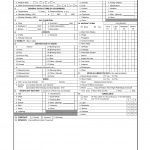 DA Form 2397-11. Technical Report of U.S. Army Aircraft Accident Part Xii - Weather/Environmental