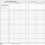 DA Form 3949-1. Controlled Substances Inventory