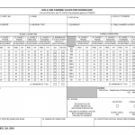 DA Form 7822. Rifle and Carbine Validation Scorecard