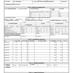 DD Form 175-1. Flight Weather Briefing