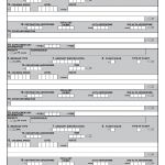 DD Form 1801C. International Flight Plan, DoD (Continuation)