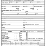 DD Form 3162. Personal Property Pre-Counseling Worksheet