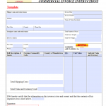 DHL Commercial Invoice