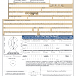 Application For A US Passport. DS-11