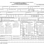 Form DSS-5104. Report to Central Registry / CPS Application