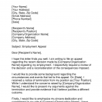 Employment Appeal Letter