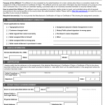 GA DMV Form T-11 Affidavit of Correction
