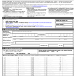 GA DMV Form T-138 IRP Vehicle Schedule A
