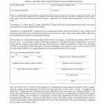 GA DMV Form T-200 Affidavit of Non-Receipt of an Original License Plate/Renewal Decal