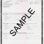 Form HSMV 82013. Certificate of Destruction (Sample only do not fill out) - Florida