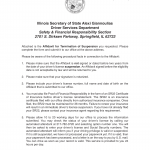 Form DSD SR 12. Affidavit For Termination of Suspension Imposed Under Section 7-211, Illinois Safety Responsibility Law - Illinois