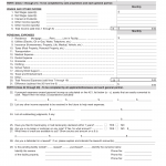 Form LIC 401A. Supplemental Financial Information - California