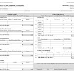 Form LIC 403A. Balance Sheet Supplemental Schedule - California