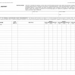 Form LIC 500. Personnel Report - California