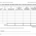 Form LIC 9266. Form 5-2: Long-Term Debt Incurred During Fiscal Year (Including Balloon Debt) - California