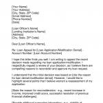 Loan Appeal Letter