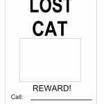 Lost Cat Poster Template — Free Printable & Editable Missing Cat Flyer