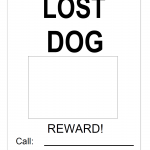 Lost Dog Poster & Missing Dog Flyer Template — Free Printable PDF