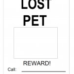 Missing Pet Poster Template (Free Printable) – Lost Pet Flyer for Any Animal