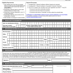 GA DMV Form MV-15 Rental Certification Affidavit