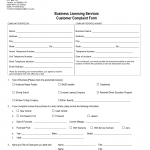 NJ MVC Form Business Licensing Services Customer Complaint Form