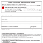 NYS DMV Form MV-FOIL. Freedom of Information Law Request Form