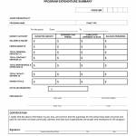 OCFS-3125. Program Expenditure Summary