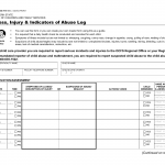 LDSS-7019. Illness Injury and Indicators of Abuse Log