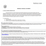 SBA Form 413 Personal Financial Statement