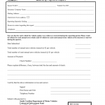 SCDMV Form FR-290. Uninsured Motorist Enforcement Fund