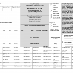 SCDMV Form IRP Schedule A/E. Original Application for Apportioned Registration