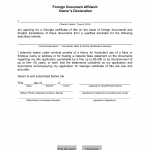 GA DMV Form T-207A Foreign Document Affidavit - Owner's Declaration