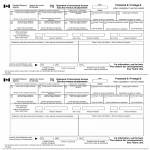 T5 Statement of Investment Income T5 Statement of Investment Income