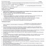 TX HHS Form 1737. Employer and Employee Service Agreement