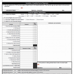 TX HHS Form 2064. Eligibility Worksheet
