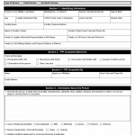 TX HHS Form 2260. LIDDA Permanency Planning Instrument (PPI) for Children Younger Than 22 Years. Family Directed Plan