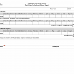 TX HHS Form 3008. Cost Share Collections/Refund Report