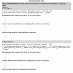 TX HHS Form 3025. Individual Safety Plan