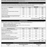 TX HHS Form 3038. Childrens Autism Program Family Cost Share Attestation Worksheet
