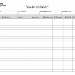 TX HHS Form 3069. Health Care Services Record