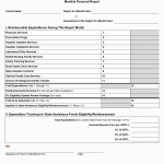 TX HHS Form 3072. Monthly Financial Report