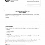 TX HHS Form 3077. Notice of Eligibility