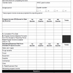 TX HHS Form 3156. Quarterly Program Income Report